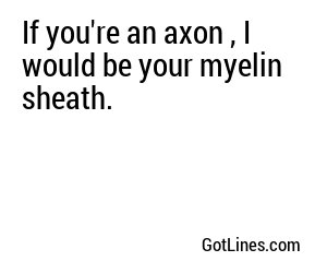 If you're an axon , I would be your myelin sheath.
