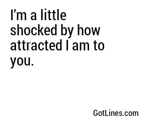 I’m a little shocked by how attracted I am to you.
