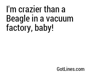 I'm crazier than a Beagle in a vacuum factory, baby!
