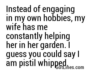 Instead of engaging in my own hobbies, my wife has me constantly helping her in her garden. I guess you could say I am pistil whipped.
