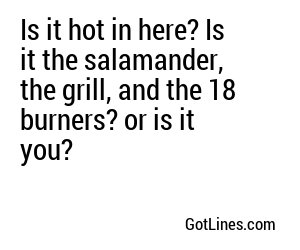 Is it hot in here? Is it the salamander, the grill, and the 18 burners? or is it you?
