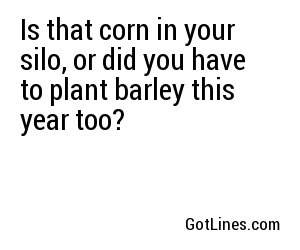 Is that corn in your silo, or did you have to plant barley this year too?
