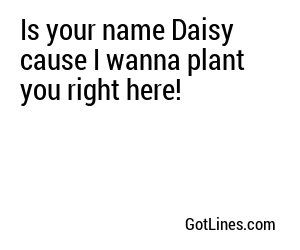 Is your name Daisy cause I wanna plant you right here!
