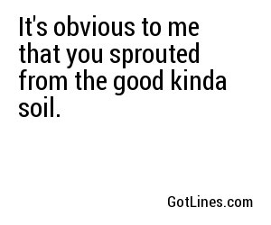 It's obvious to me that you sprouted from the good kinda soil.
