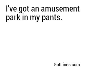 I've got an amusement park in my pants.
