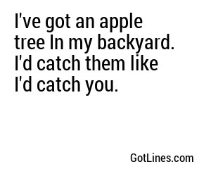 I've got an apple tree In my backyard. I'd catch them like I'd catch you.
