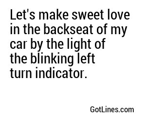 Let's make sweet love in the backseat of my car by the light of the blinking left turn indicator.
