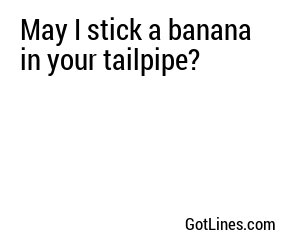 May I stick a banana in your tailpipe?
