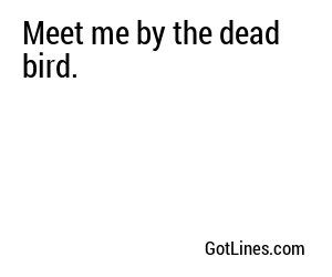 Meet me by the dead bird.
