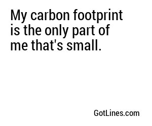 whats my carbon footprint