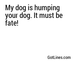 My dog is humping your dog. It must be fate!
