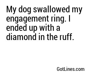 My dog swallowed my engagement ring. I ended up with a diamond in the ruff.
