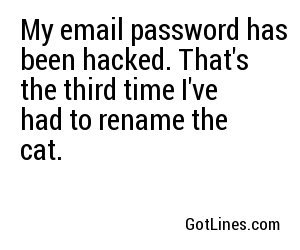 My email password has been hacked. That's the third time I've had to rename the cat.
