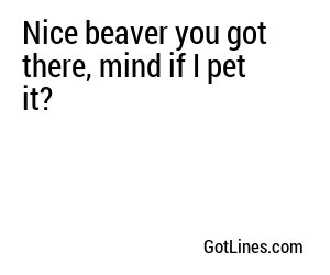 Nice beaver you got there, mind if I pet it?
