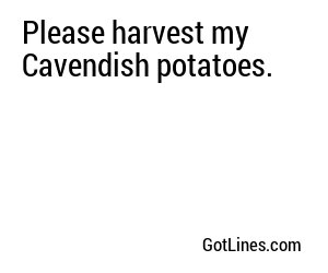 Please harvest my Cavendish potatoes.
