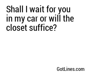 Shall I wait for you in my car or will the closet suffice?
