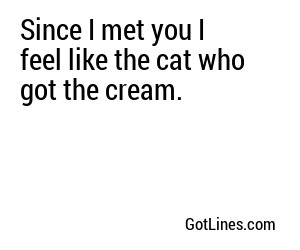 Since I met you I feel like the cat who got the cream.
