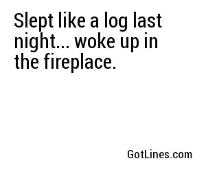 Slept like a log last night... woke up in the fireplace.
