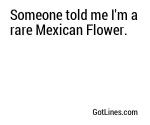 Someone told me I'm a rare Mexican Flower.
