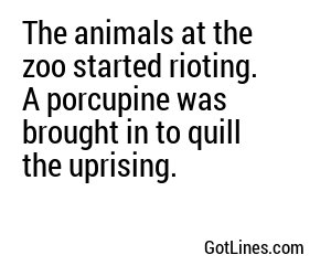 The animals at the zoo started rioting. A porcupine was brought in to quill the uprising.
