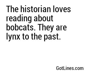 The historian loves reading about bobcats. They are lynx to the past.
