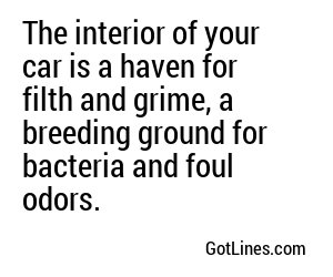 The interior of your car is a haven for filth and grime, a breeding ground for bacteria and foul odors.
