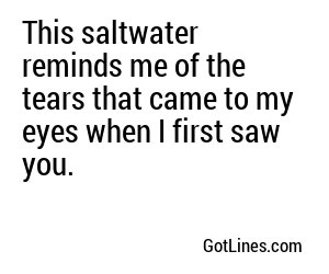 This saltwater reminds me of the tears that came to my eyes when I first saw you.
