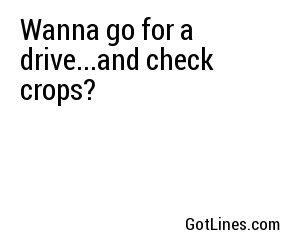 Wanna go for a drive...and check crops?
