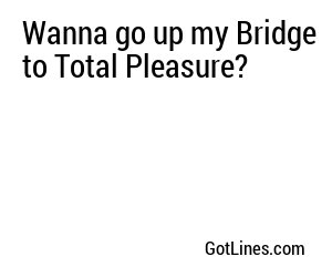 Wanna go up my Bridge to Total Pleasure?
