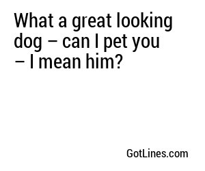 What a great looking dog – can I pet you – I mean him?
