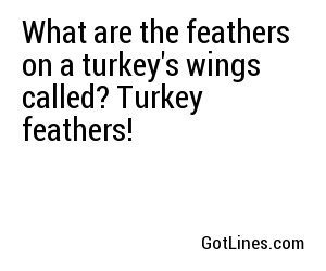 What are the feathers on a turkey's wings called? Turkey feathers!
