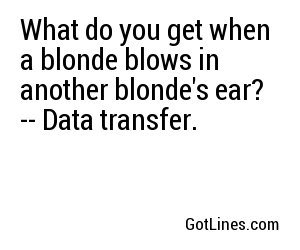 What do you get when a blonde blows in another blonde's ear? -- Data transfer.