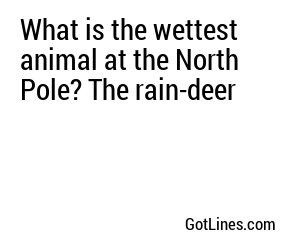 What is the wettest animal at the North Pole? The rain-deer
