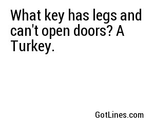 What key has legs and can't open doors? A Turkey.
