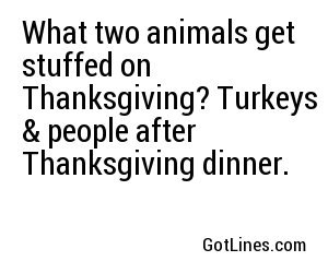 What two animals get stuffed on Thanksgiving? Turkeys & people after Thanksgiving dinner.
