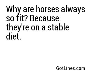 Why are horses always so fit? Because they're on a stable diet.