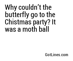 Why couldn’t the butterfly go to the Chistmas party? It was a moth ball
