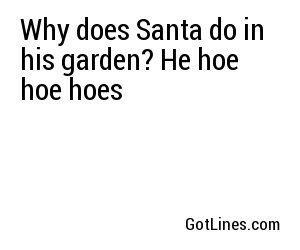 Why does Santa do in his garden? He hoe hoe hoes
