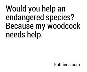 Would you help an endangered species? Because my woodcock needs help.
