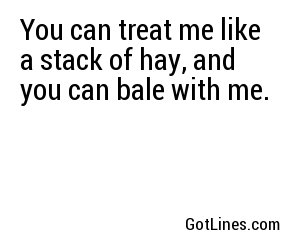 You can treat me like a stack of hay, and you can bale with me.
