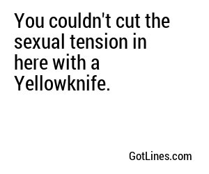 You couldn't cut the sexual tension in here with a Yellowknife.
