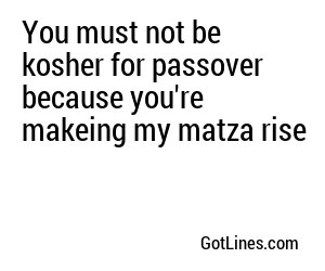 You must not be kosher for passover because you're makeing my matza rise
