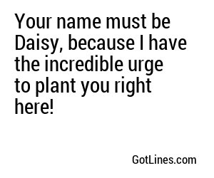 Your name must be Daisy, because I have the incredible urge to plant you right here!
