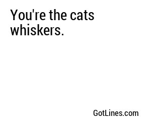 You're the cats whiskers.
