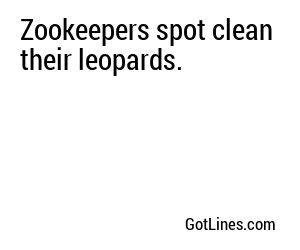 Zookeepers spot clean their leopards.
