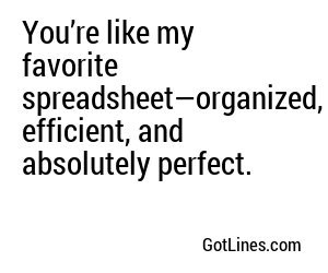 You’re like my favorite spreadsheet—organized, efficient, and absolutely perfect.
