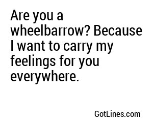 Are you a wheelbarrow? Because I want to carry my feelings for you everywhere.
