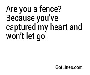 Are you a fence? Because you’ve captured my heart and won’t let go.
