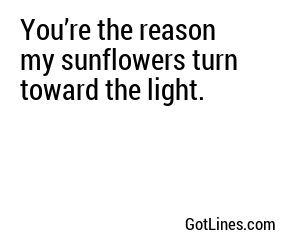 You’re the reason my sunflowers turn toward the light.
