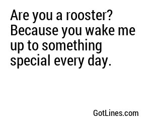 Are you a rooster? Because you wake me up to something special every day.
